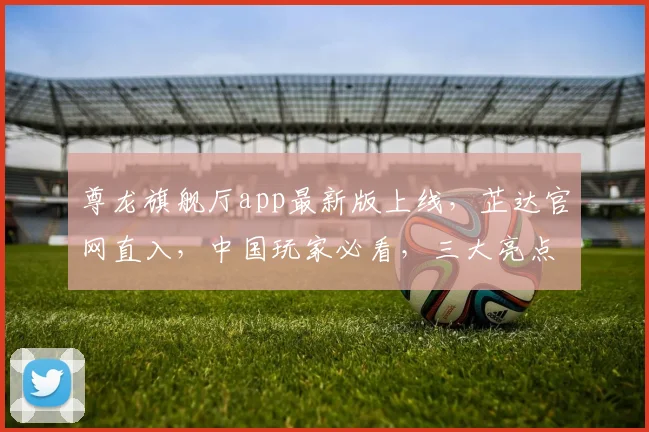尊龙旗舰厅app最新版上线，芷达官网直入，中国玩家必看，三大亮点不容错过，惊喜连连