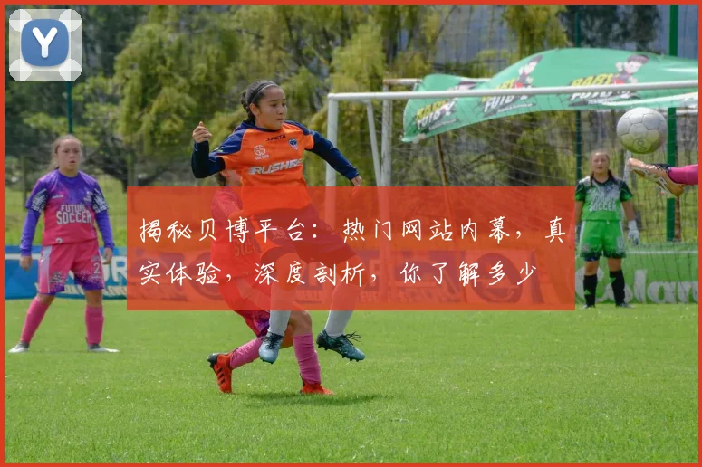 揭秘贝博平台：热门网站内幕，真实体验，深度剖析，你了解多少