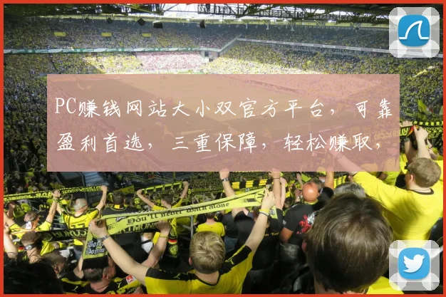 PC赚钱网站大小双官方平台，可靠盈利首选，三重保障，轻松赚取，热门推荐