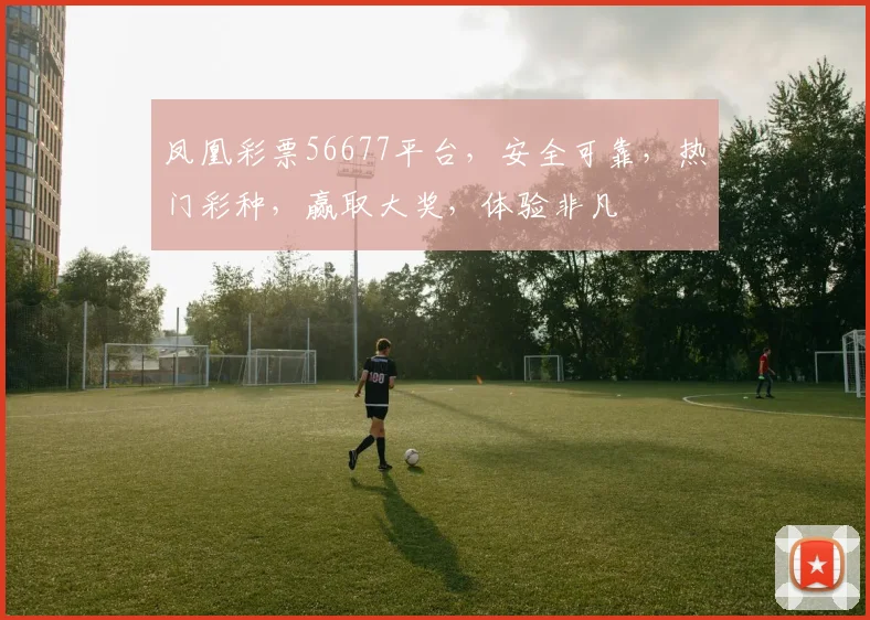 凤凰彩票56677平台，安全可靠，热门彩种，赢取大奖，体验非凡