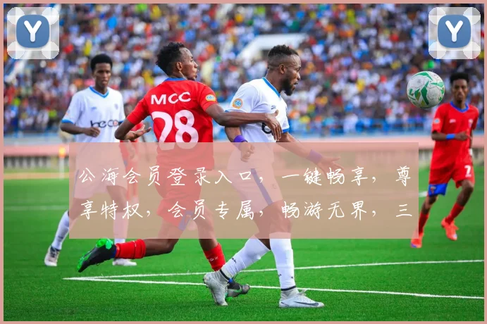 公海会员登录入口，一键畅享，尊享特权，会员专属，畅游无界，三重惊喜，等你来体验
